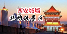 美女被大鸡巴干的嗷嗷叫中国陕西-西安城墙旅游风景区